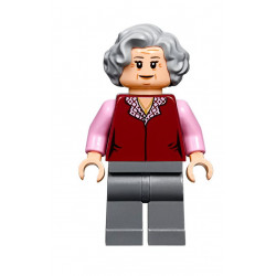 Hogwarts Express - NEU (75955)