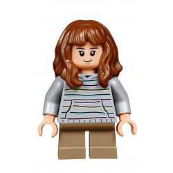 Hogwarts Express - NEU (75955)